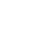 GM x300